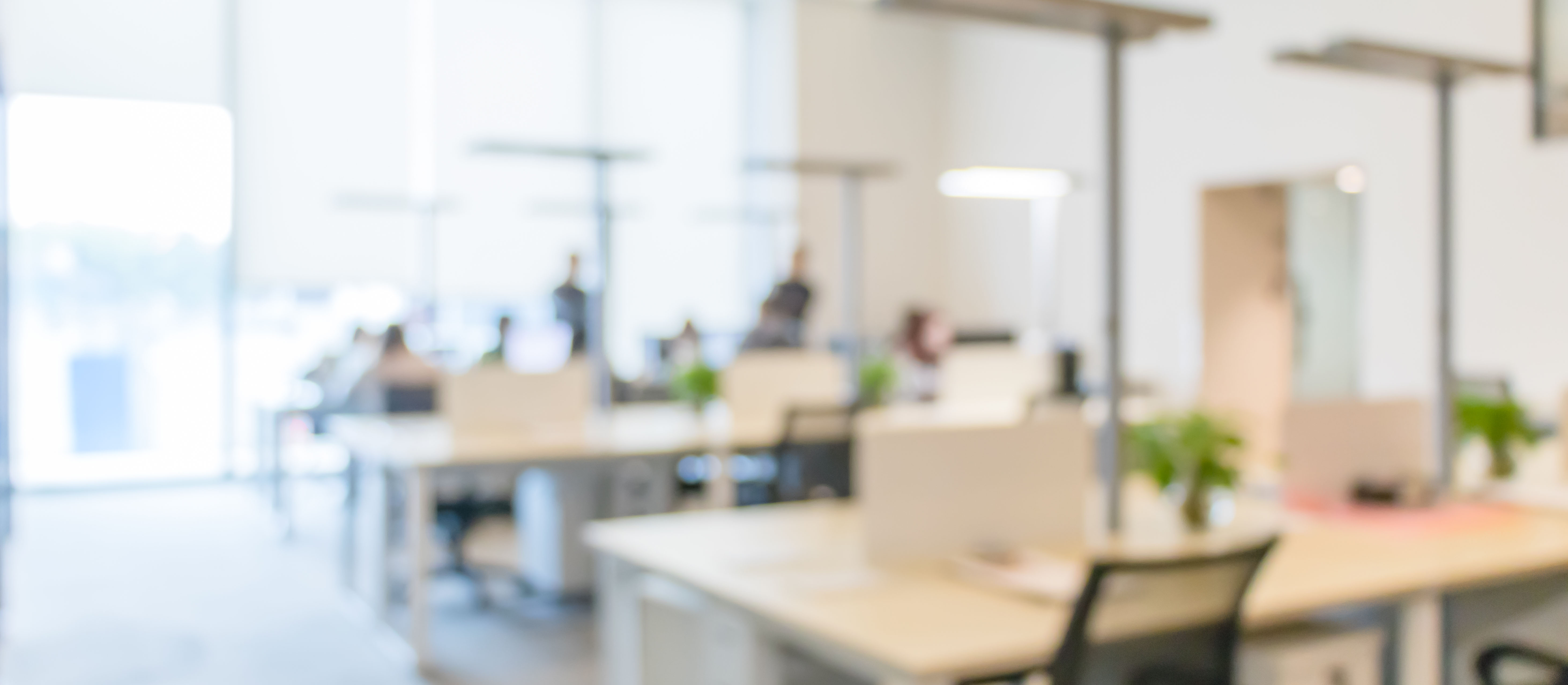 啊，树文化传媒有限公司等最新的剪辑、后期、影视特效相关招聘岗位信息汇总