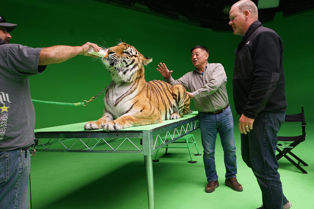 专摸老虎屁股的方励｜专访