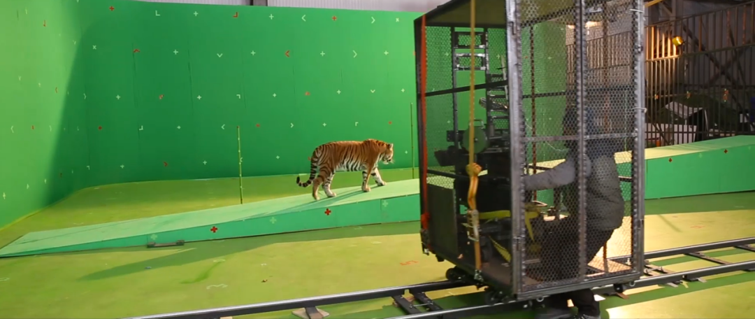 《阳光劫匪》口碑差异明显，这个故事真的看懂了吗？