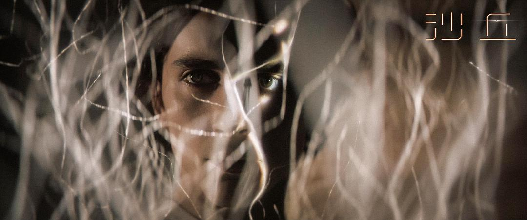 当中国观众不“认识”美国大片