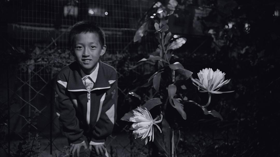 暑期档的概念，是否应该改变了？