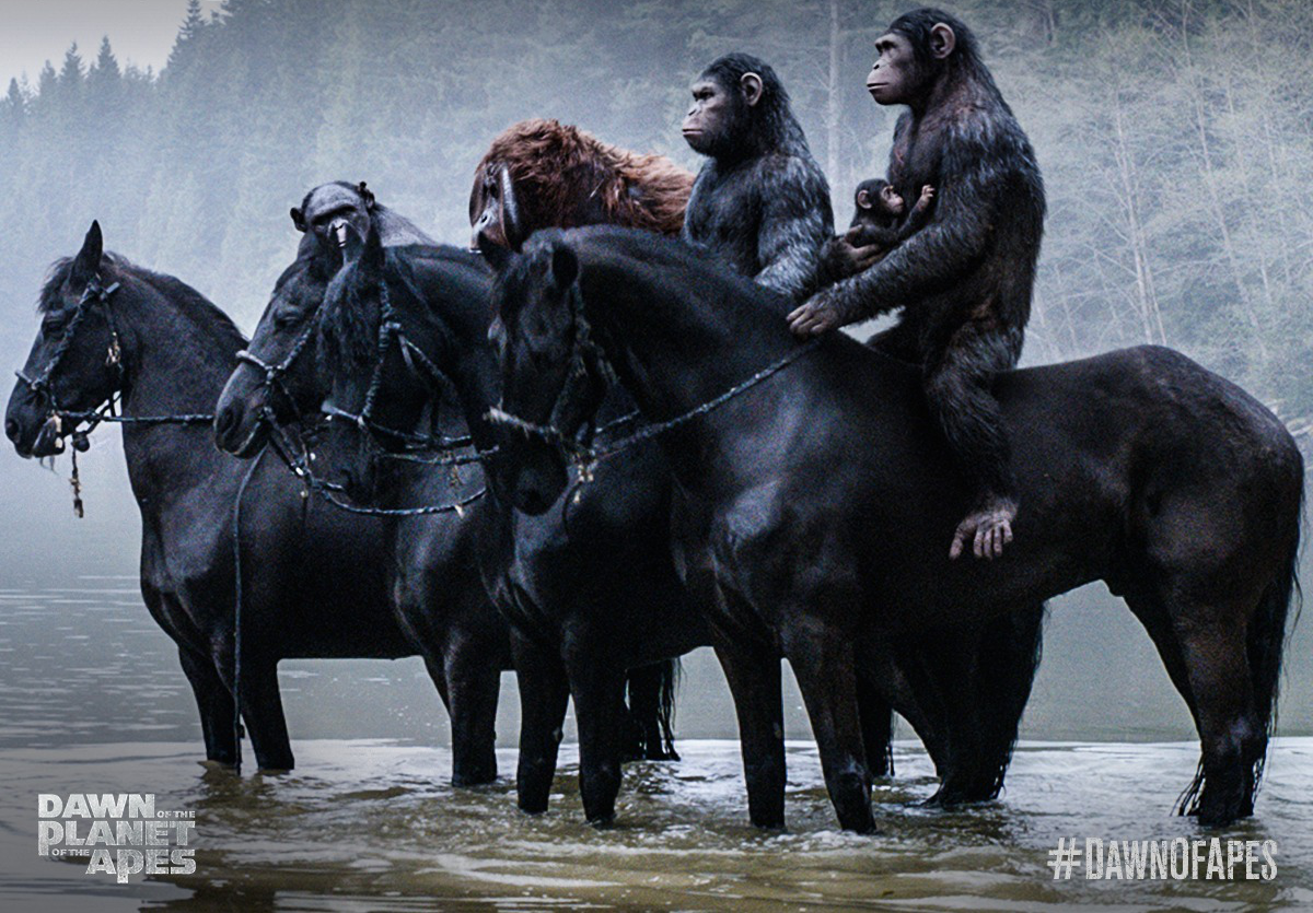 8296c7b9000ff2cb9df84ac881277bd0