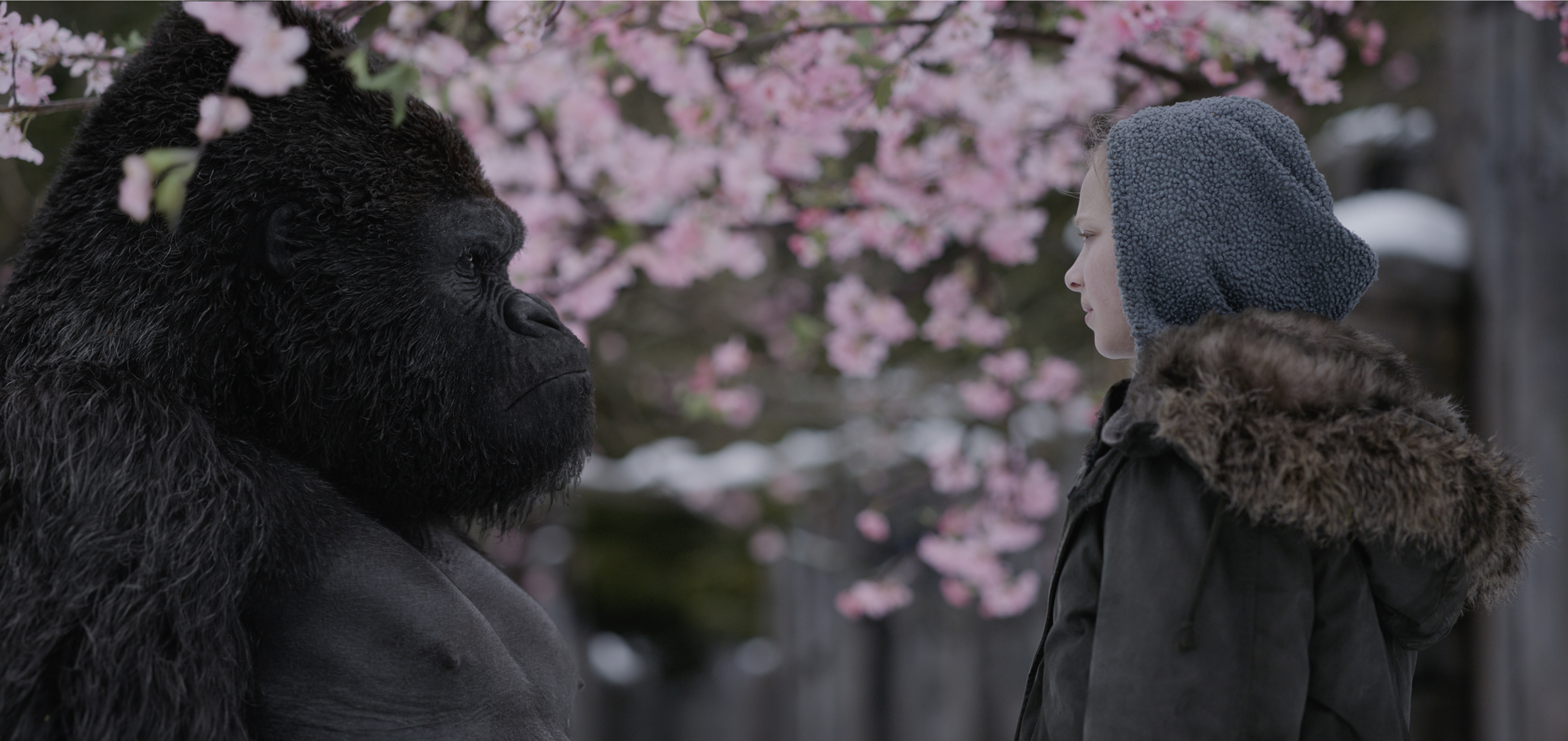 《猩球崛起》特效制作的核心技术和原理就在这篇访谈里 | 案例解析63