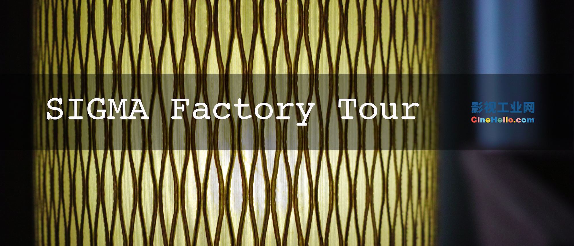 9d6800a86c0ff01e24061cd902ab3f1c