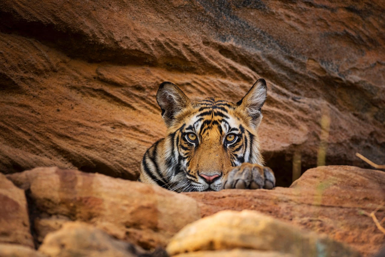 0d3bbfb02e86d2142b178ee192488b1c