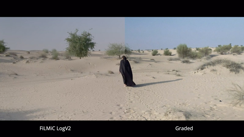 8cfaaca75f4d9a6e2c8b994151d5a679