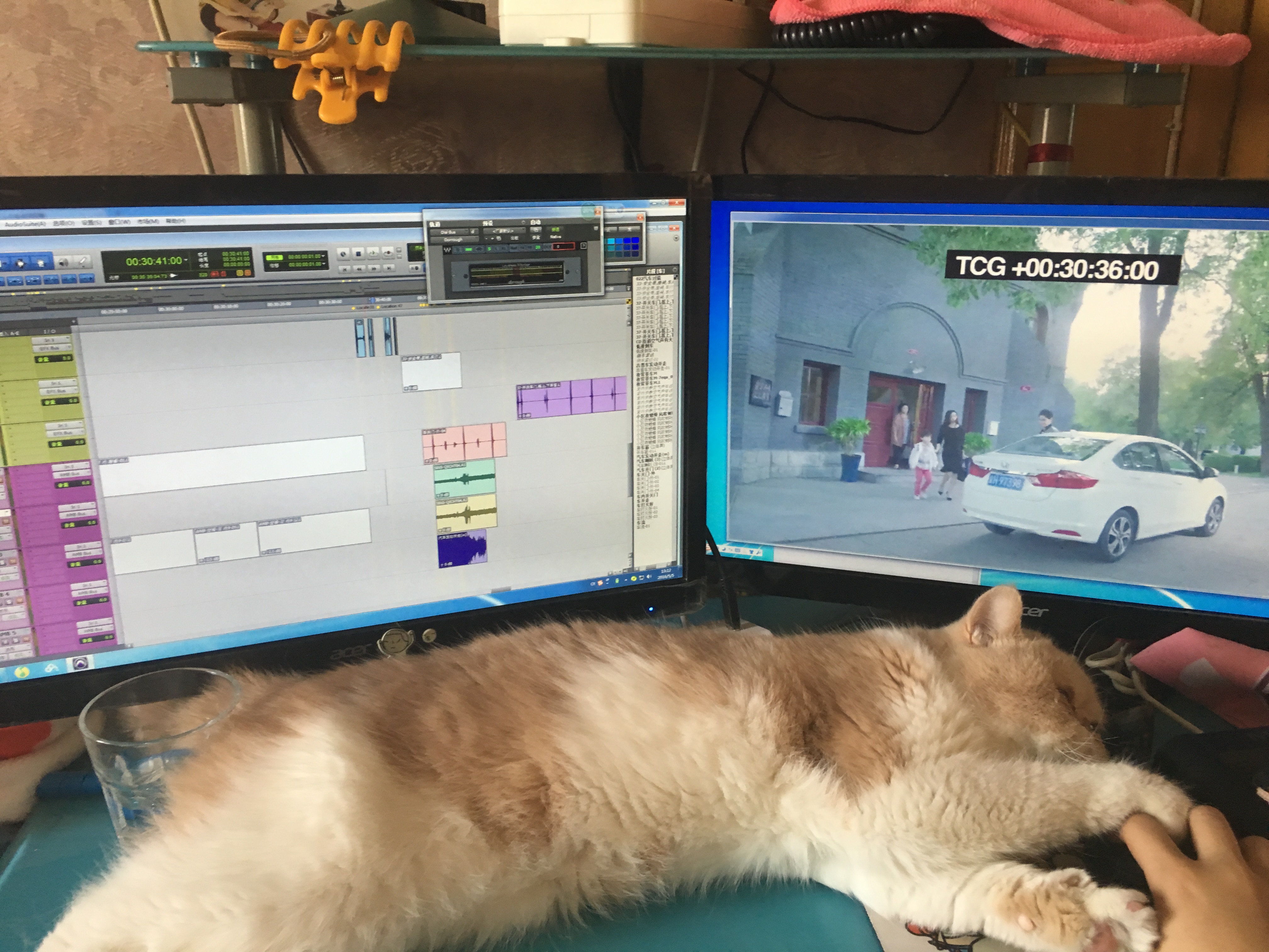 48b9fa9ba07639cf1fda94e2ad5577a0