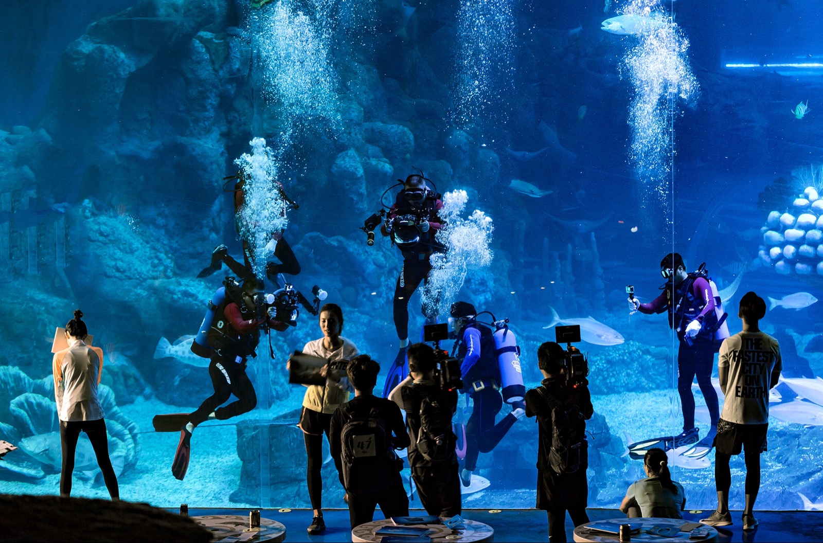 1e92a490781e14f2614dfc60bf41ae57