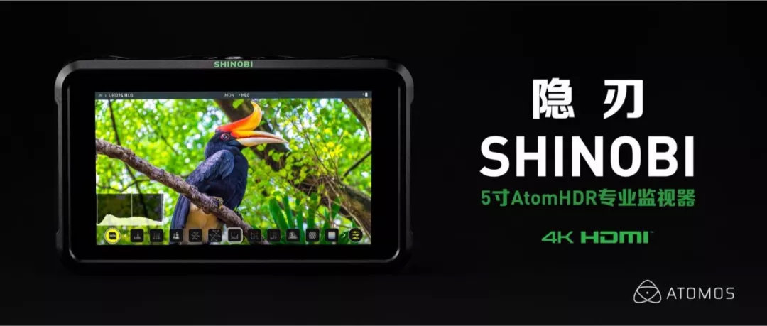 069f72537cfa02d9ee3adbba53092b06