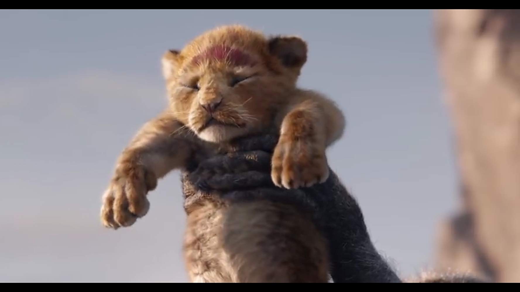 B0ef625674775e356e081b8dd8891426