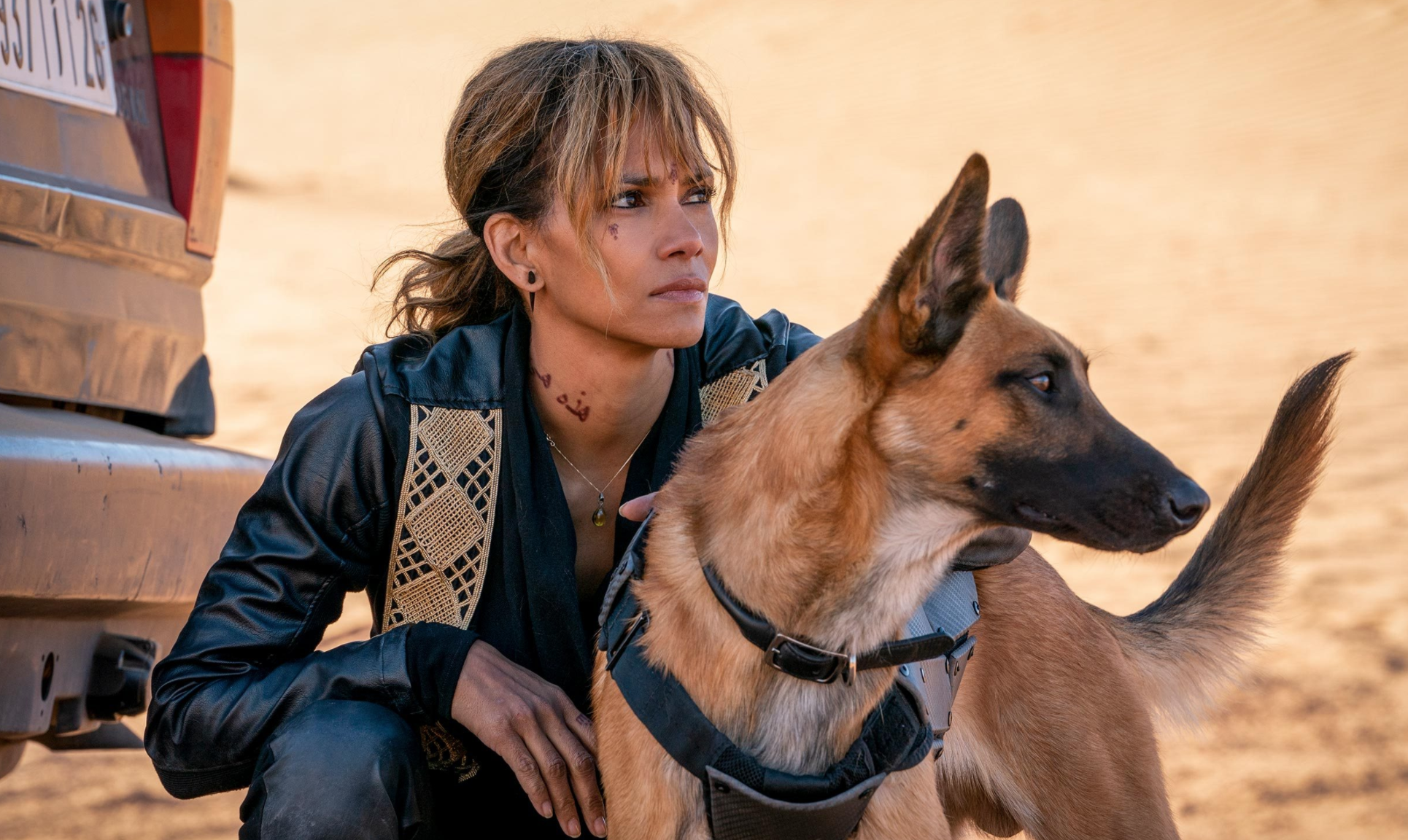 Cda31f48e6bf6180996b610fbce273b7