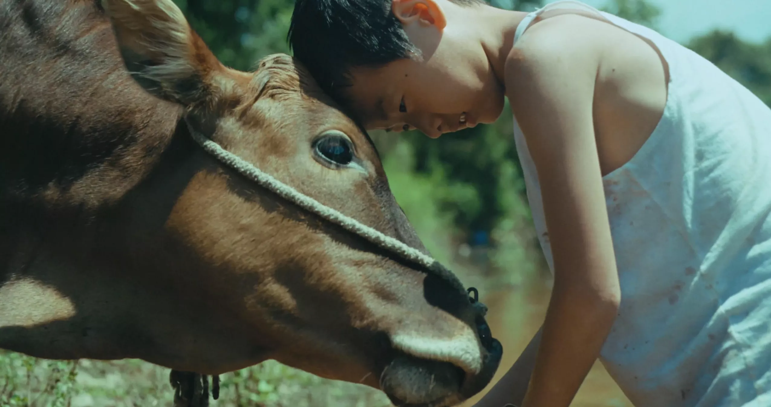 3f45a7f0438592d6767edf781712df0d