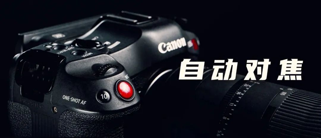 1cdc6802f4964a502dfccb7b03f2b71e