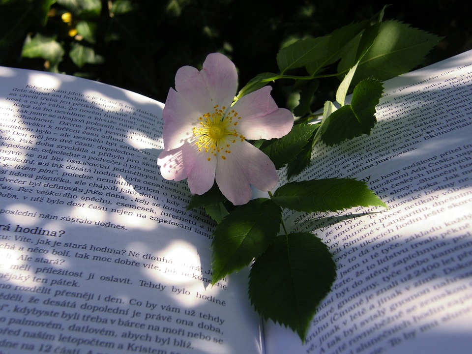 7ca30cfd623d20d251940caab35def48