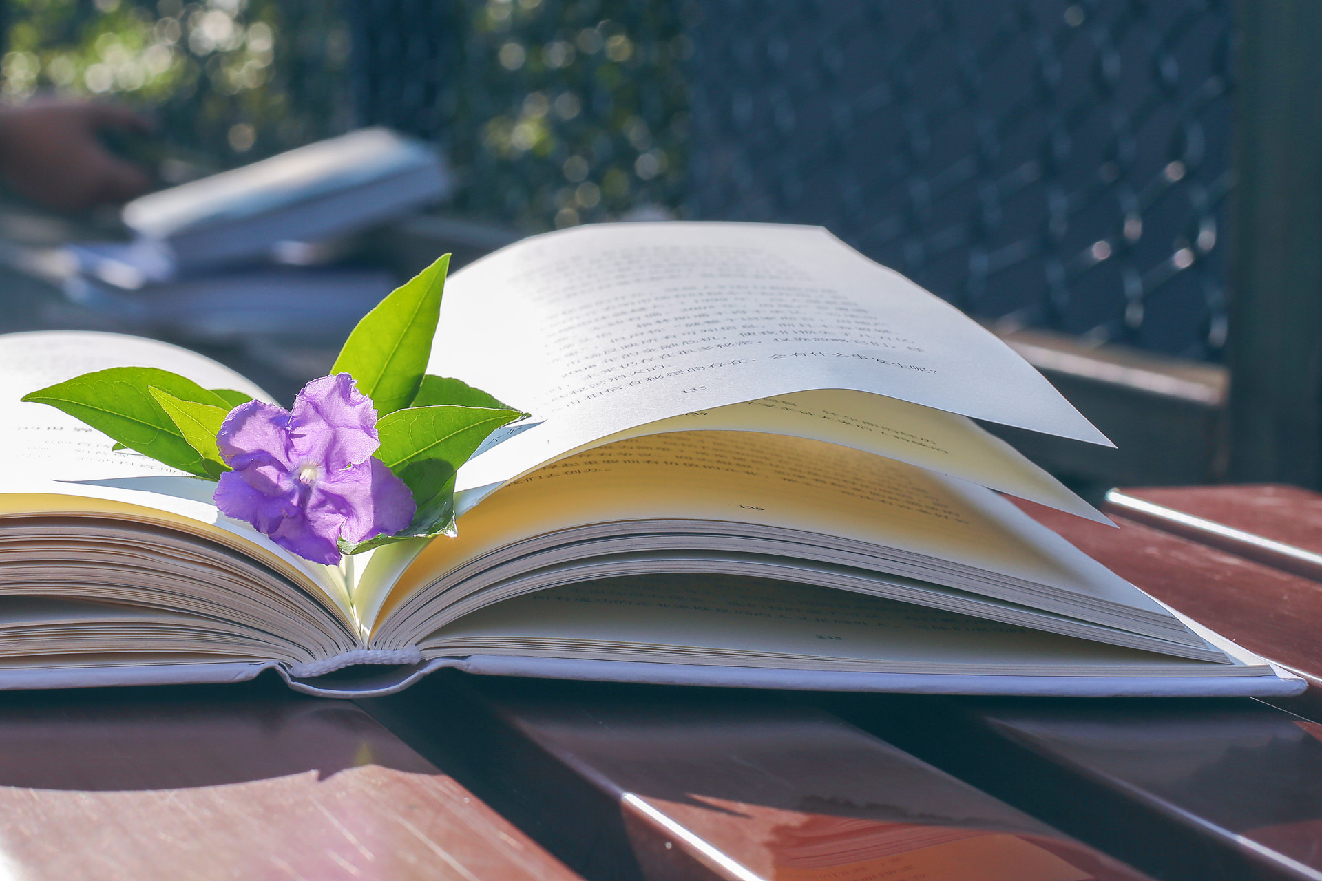 49204e05e27fe4dfa853dc2ae28321ce