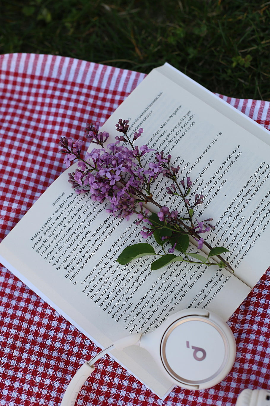 8df37814835a40acc97284696d507392