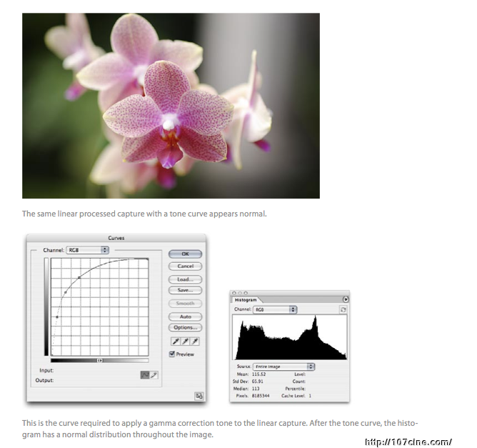 055e862e0aa9cb8a00a457e8bca93ce9