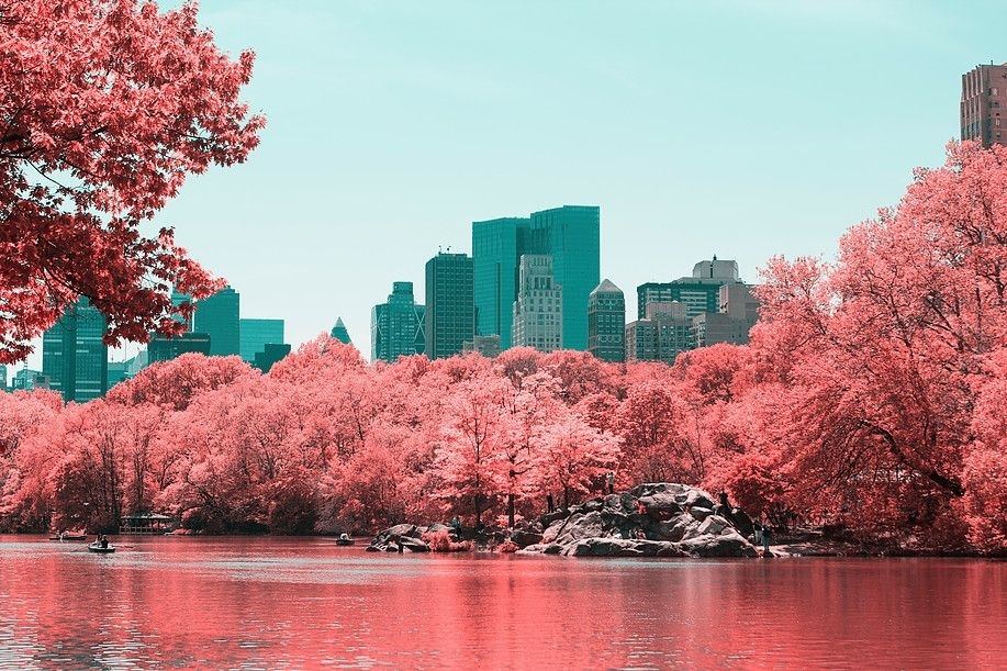 1c93bc6d8816f05c5e2f5e3a80801e46