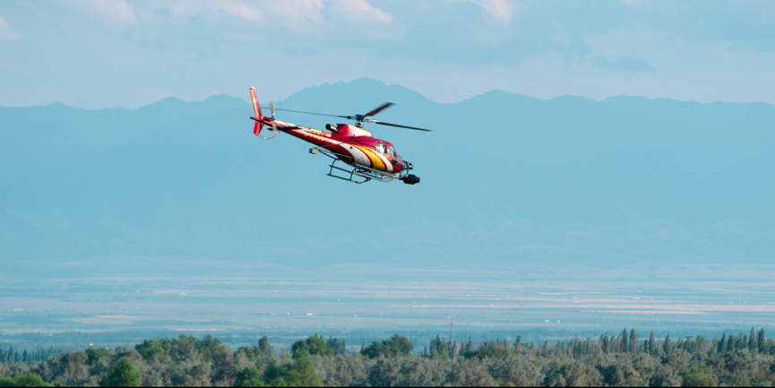 C9f3c29ccd09a448c6b7bb2b88901733