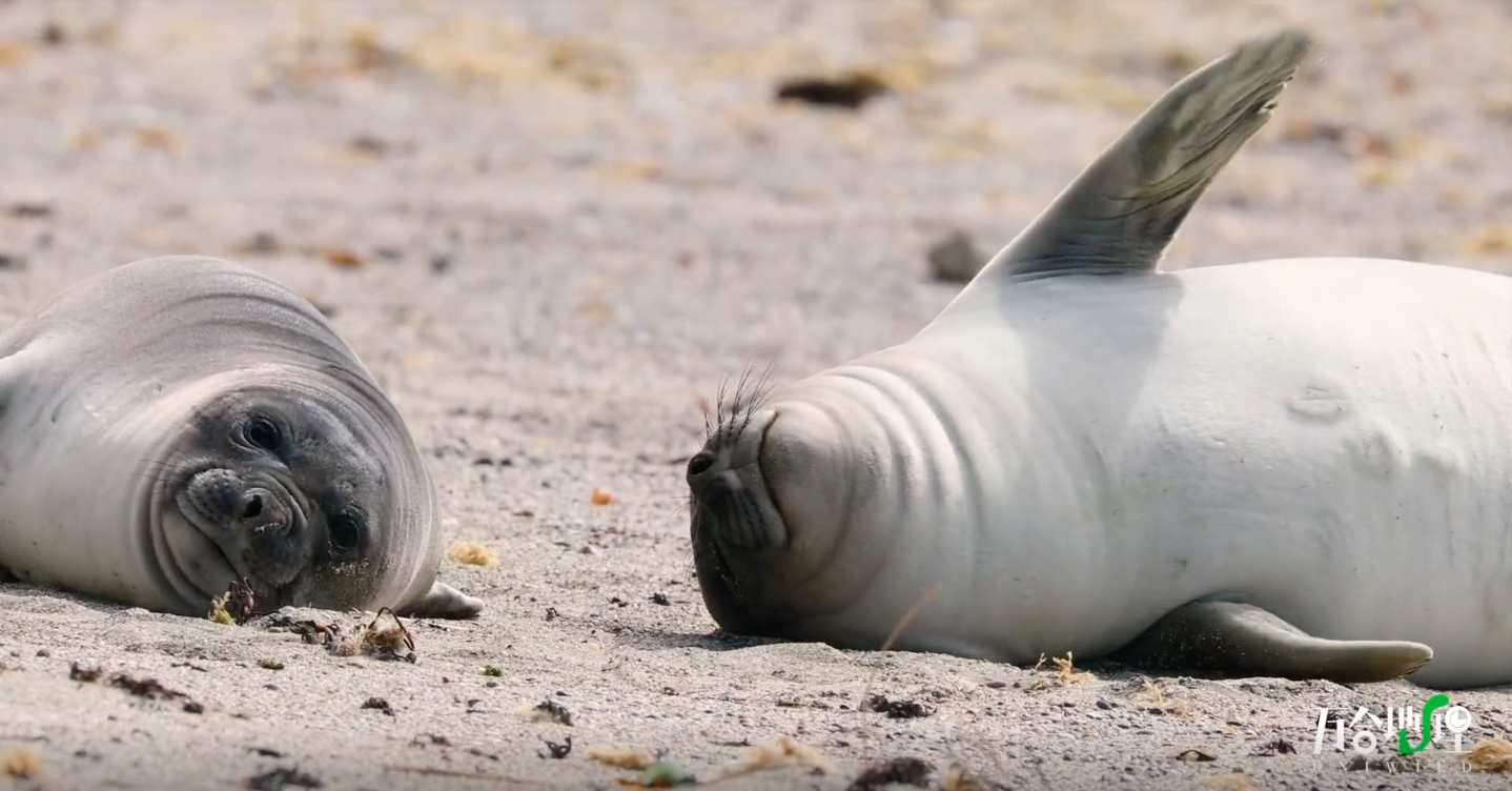 4a0fe9d90b2f23087c64bfd4c4c8d080