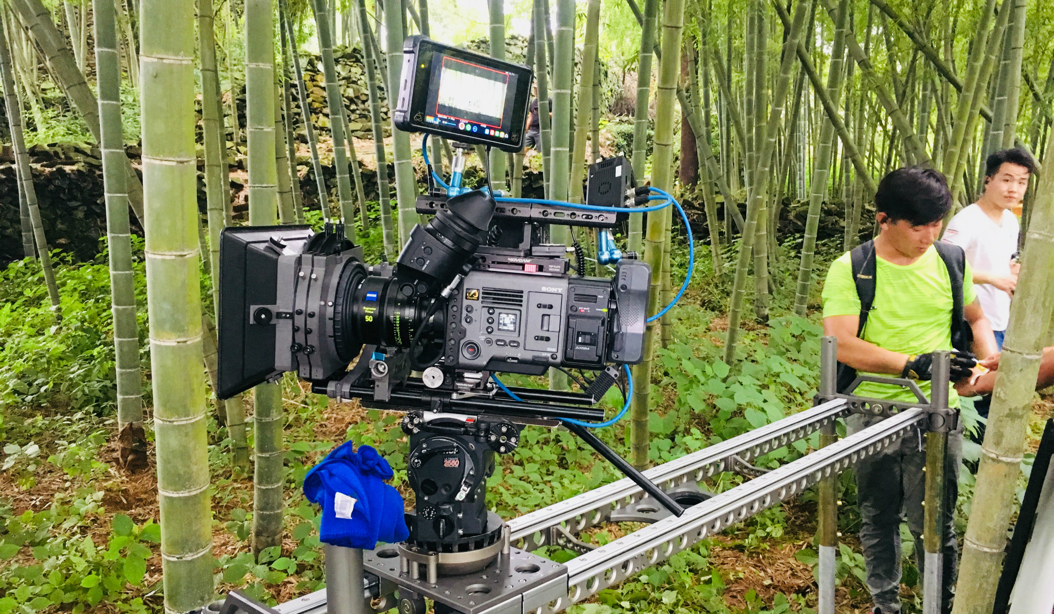 87cfc965a22275453177751f6bf9a68b