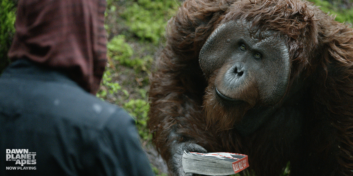 Addbb24c233d53119607fd2ce8e7183b