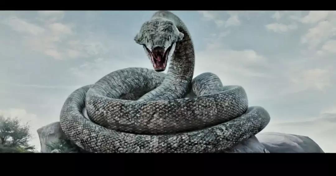 优酷视频独家上映动作冒险电影《大蛇2》